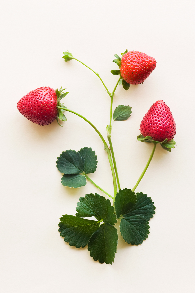 01_Red_Strawberries_021