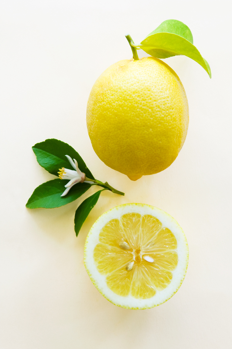 Ars_Botanica-Lemon-2