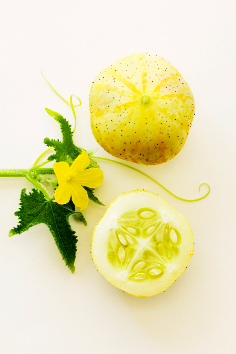 Lemon_Cucumber_0057